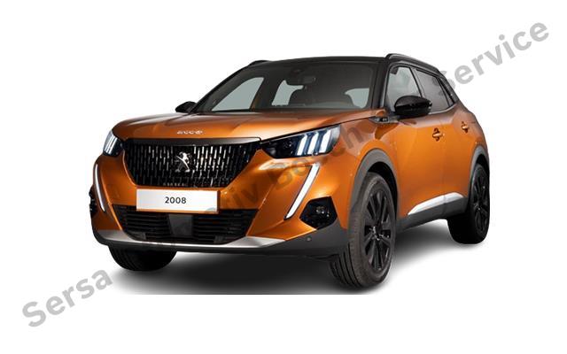 Peugeot Servisi